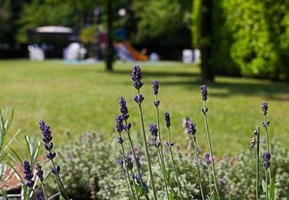 Hotel con piscina e parco in zona Linate