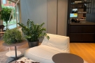 Showroom per eventi