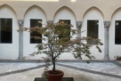 Spazio espositivo in zona Missori